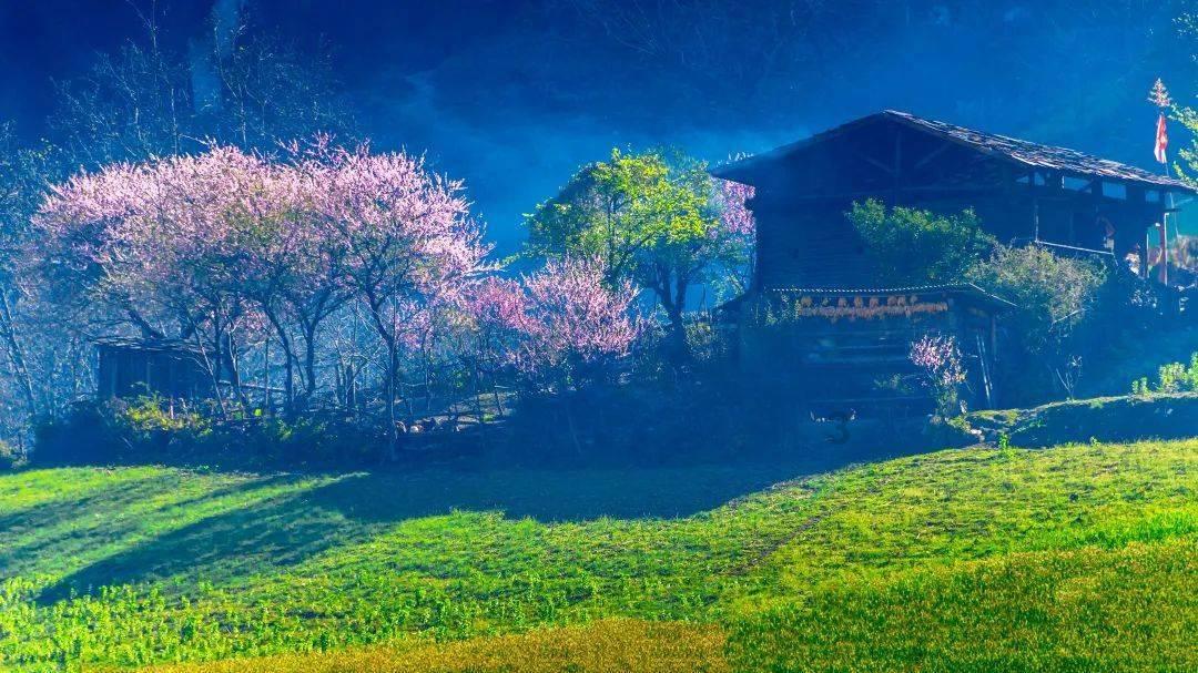 绝地求生坦克版2