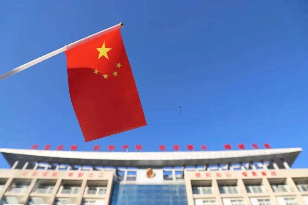 救援有趣的孔雀