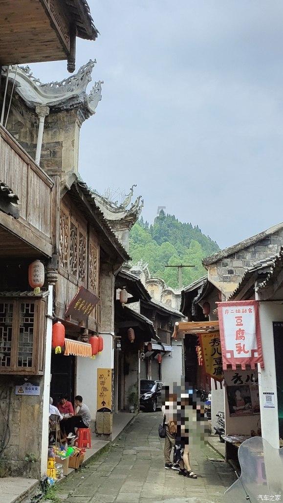 可爱兔子营救