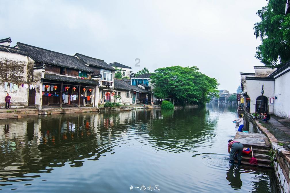 重生之玫瑰豪门