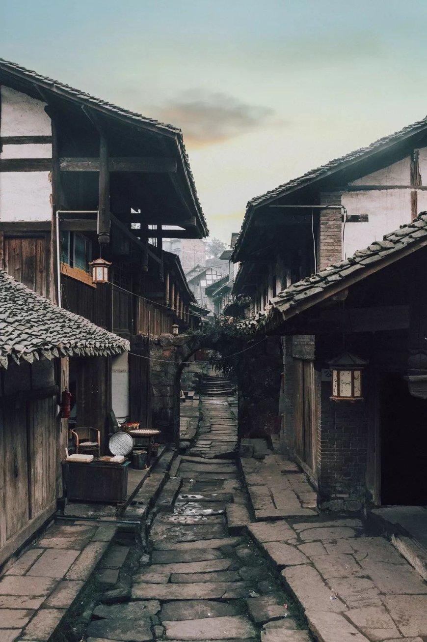 逃离神秘树屋