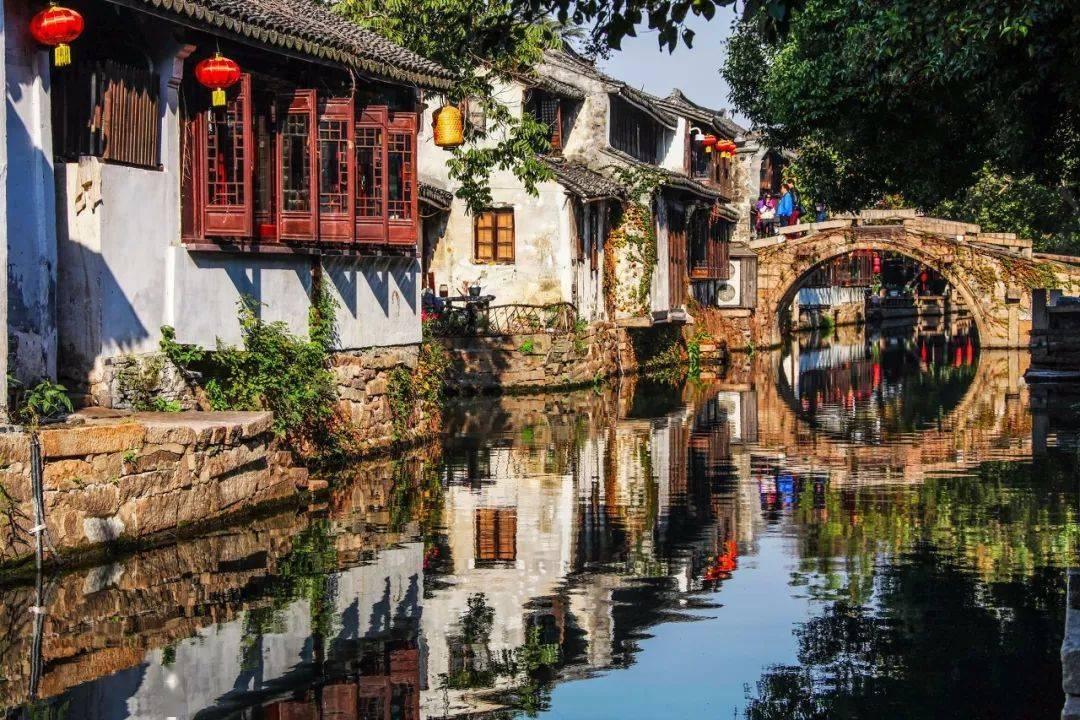 饥饿的哈利